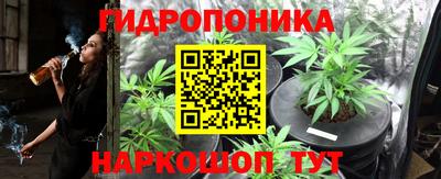 МДМА Новозыбков