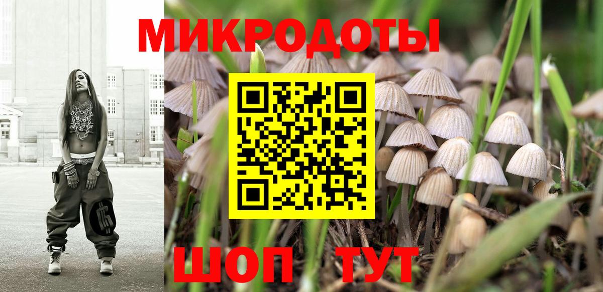 наркотики  Вход с VPN  Сегежа  Псилоцибиновые грибы GOLDEN TEACHER 